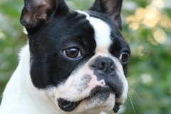 Leevi10kkPaa10072021-6