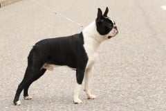 Leevi10kkseisoo10072021-14