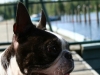 leevi2