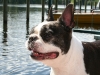 leevi3