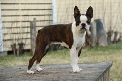 LuruLurppiina9kk25042019-3