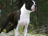 1pentti07092009