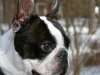 rike1