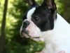 ruby2