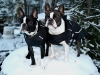 Frank & Ruttu